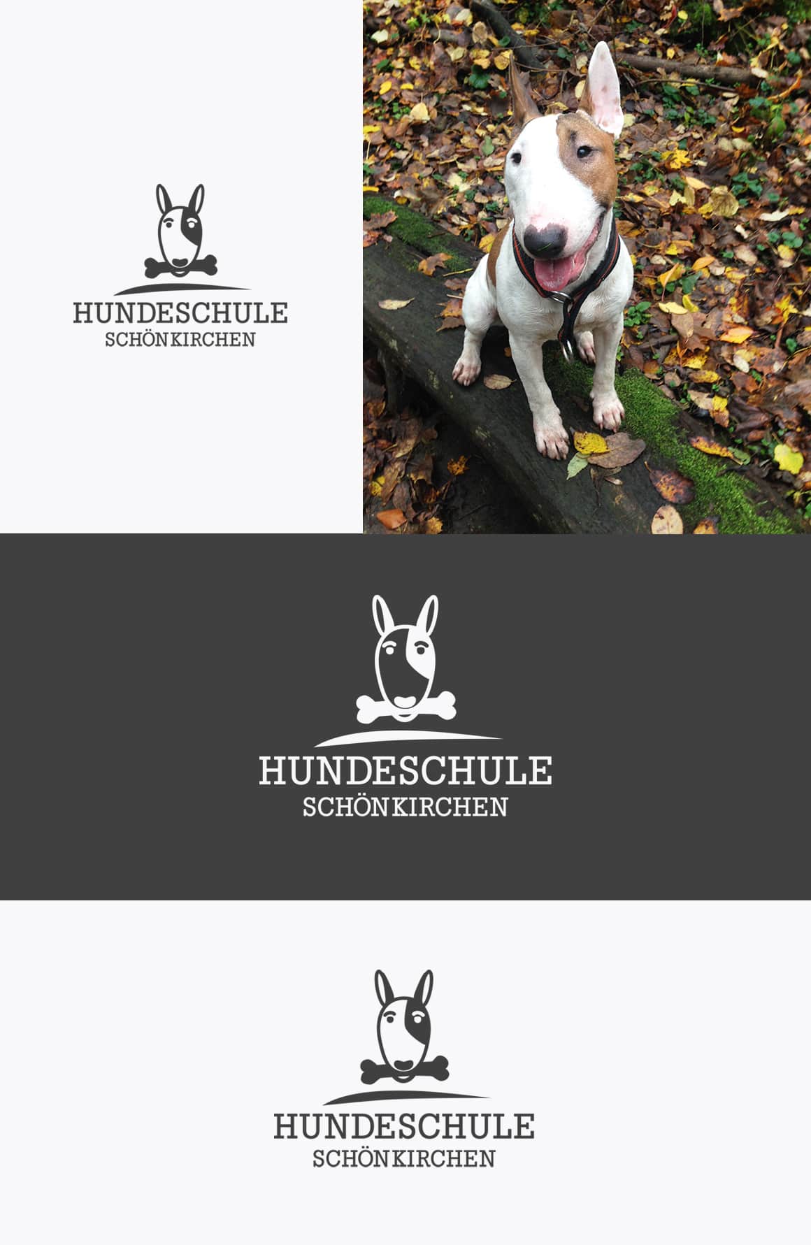 Hundeschule Schönkirchen Logo Vorschau