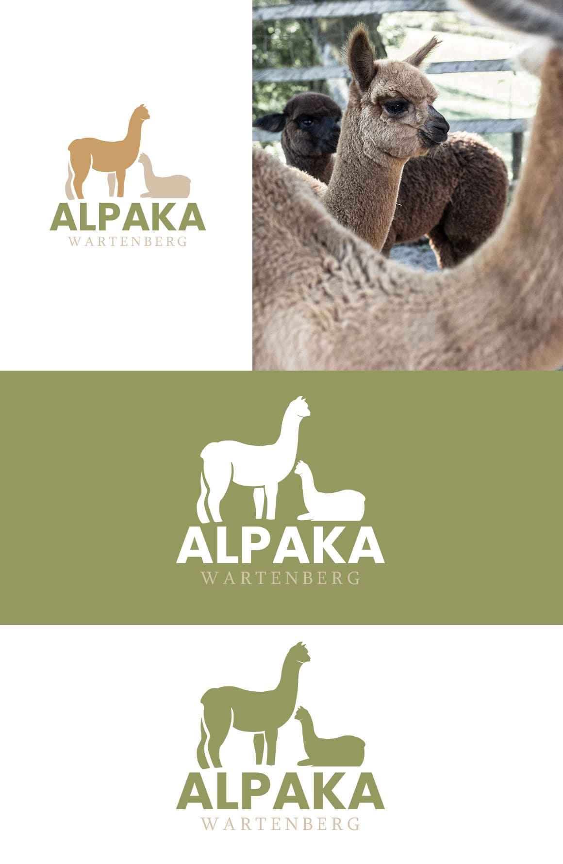 Alpaka Wartenberg Logo Vorschau