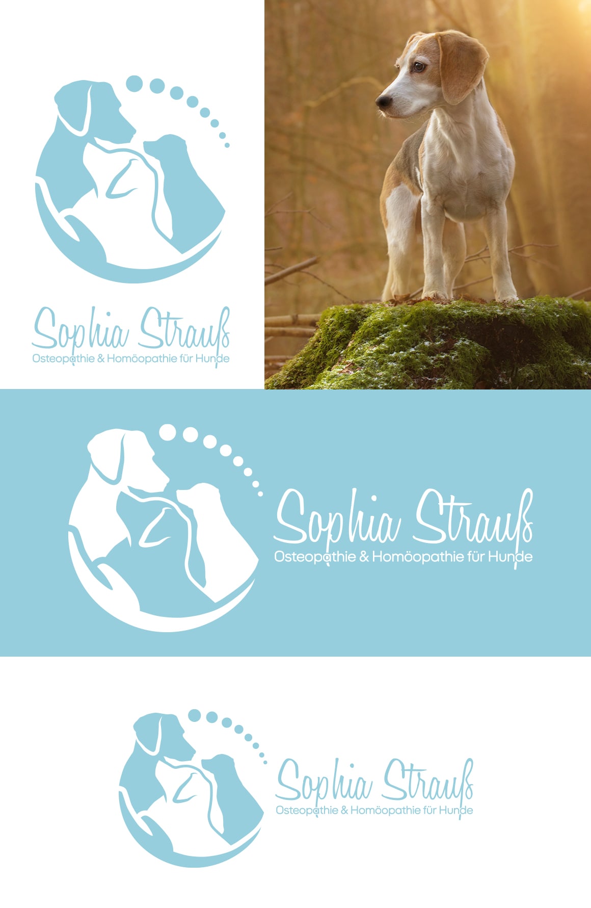 Sophia Strauß Hundeostepathie Logo Design Vorschau
