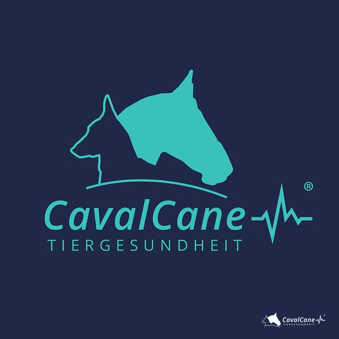 CavalCane Tiergesundheit Logo Design